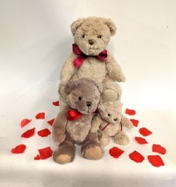 Valentine's teddy bear