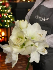 White Amaryllis Bouquet