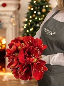 Red Amaryllis bouquet