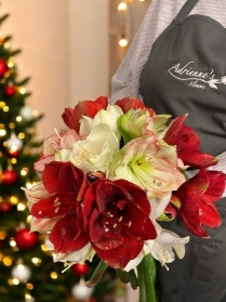 Mixed Amaryllis Bouquet