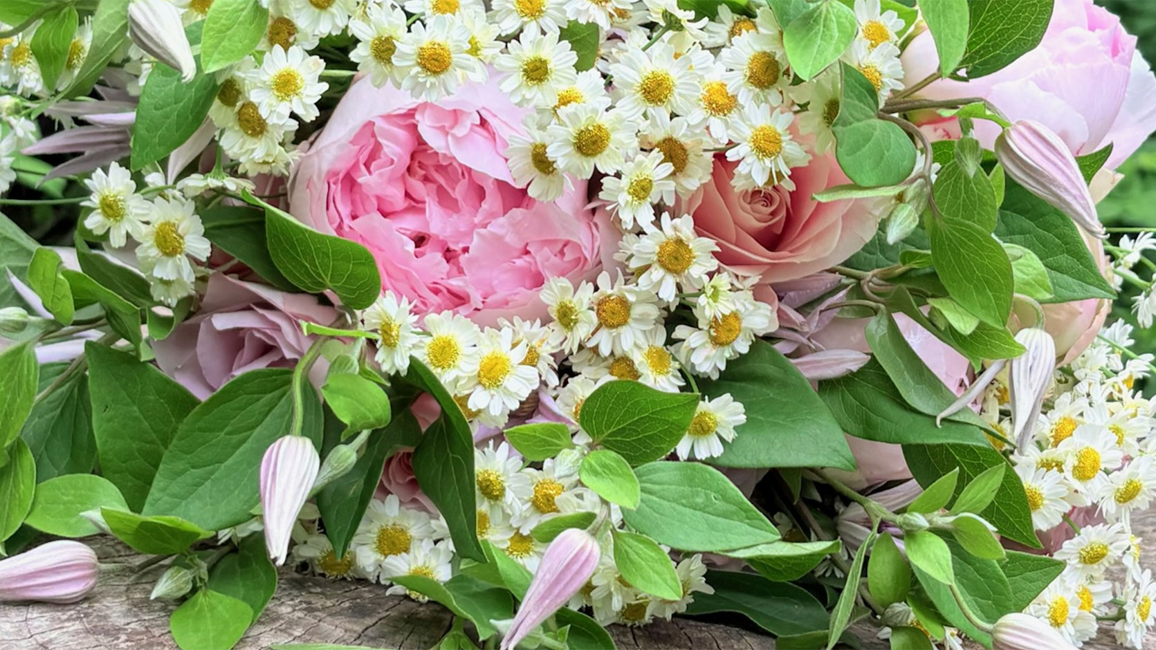 Adrienne's Flowers